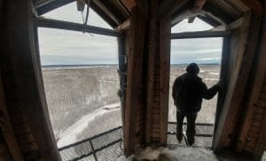 Goose Creek Tower Views