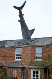 Headington Shark 2