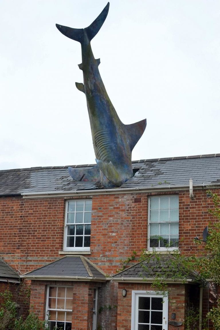 Headington Shark House - The House With A 25-Foot Shark