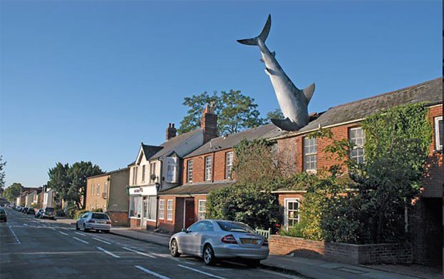 Headington Shark House – The House With A 25-Foot Shark